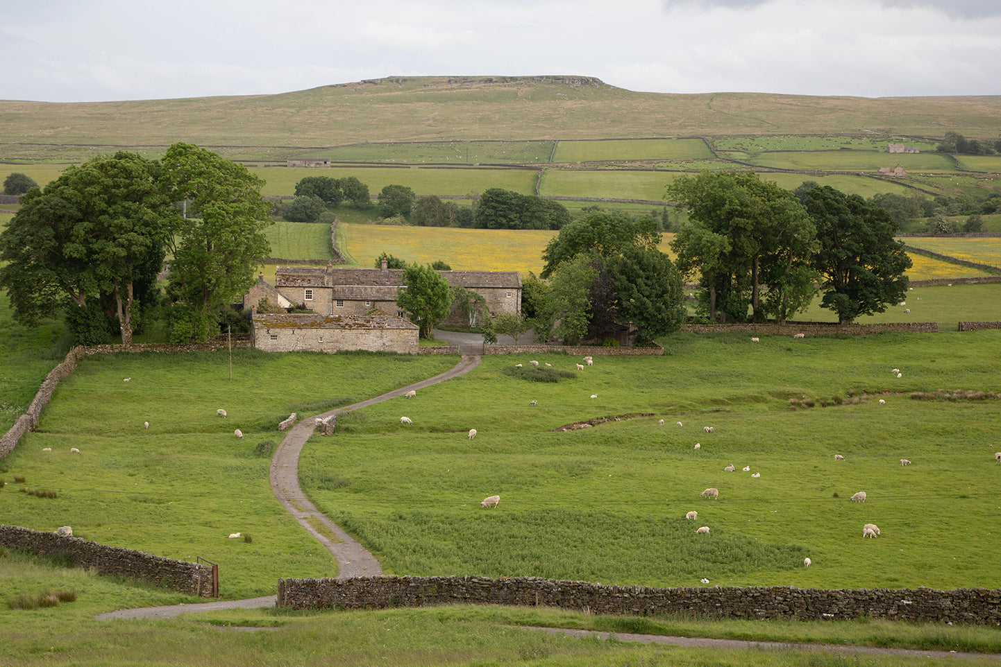 The Pennines | Art Print