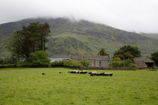Mireside Farm, ingelijst