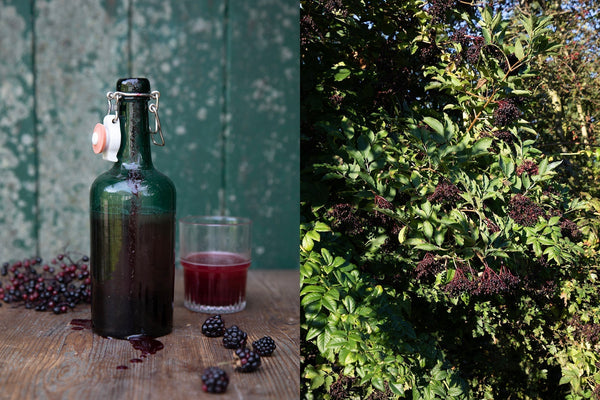 Blackberry & Elderberry Brandy