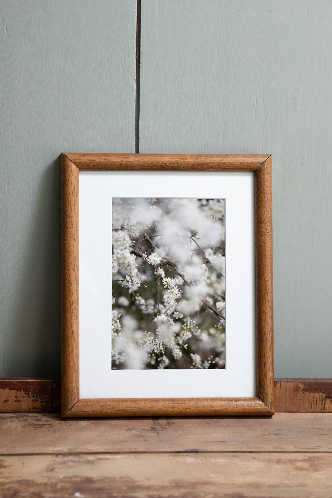 Blackthorn, ingelijst