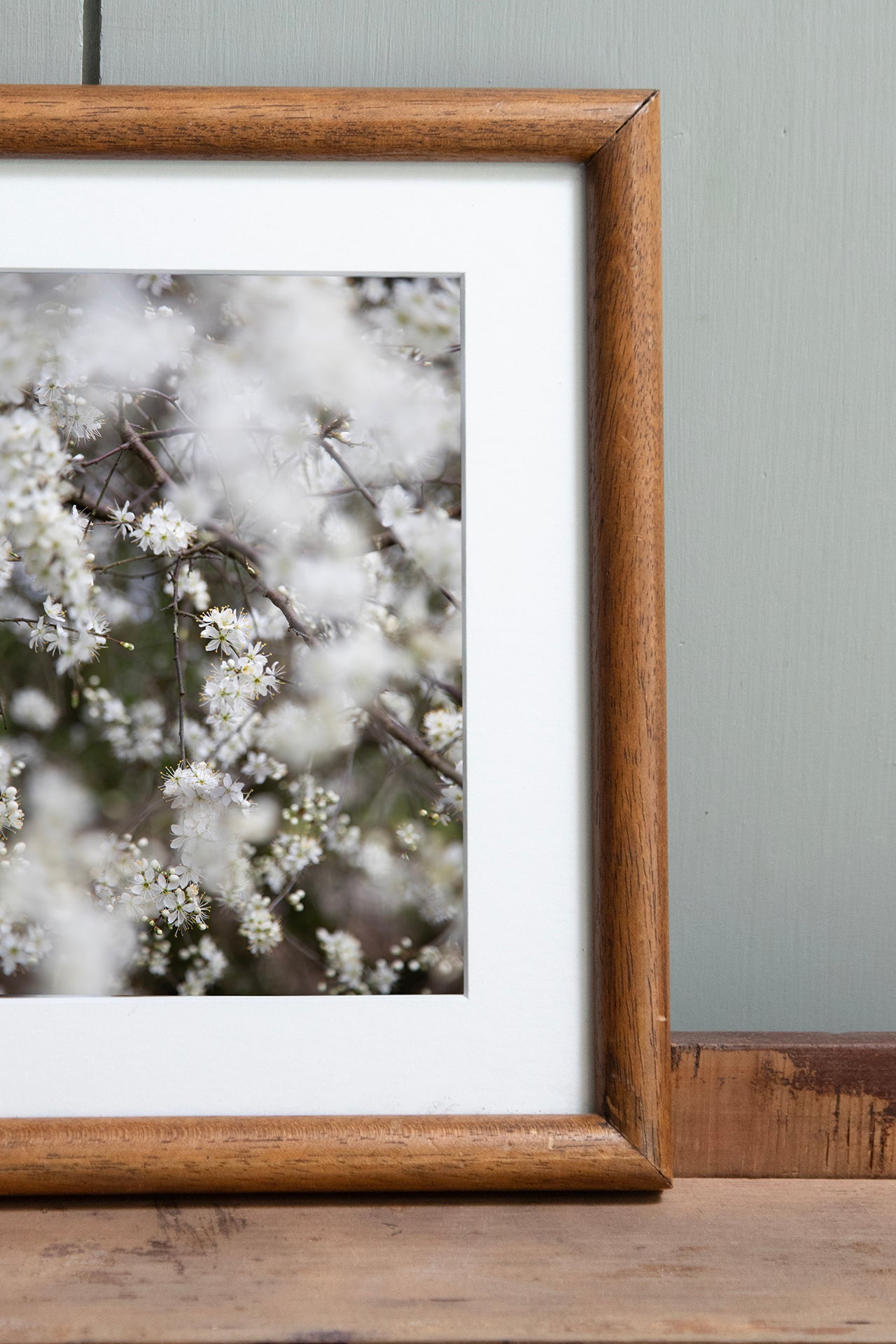 Blackthorn, ingelijst