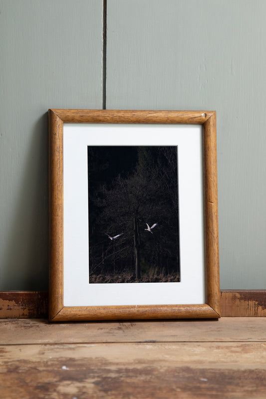 Cranes, ingelijst