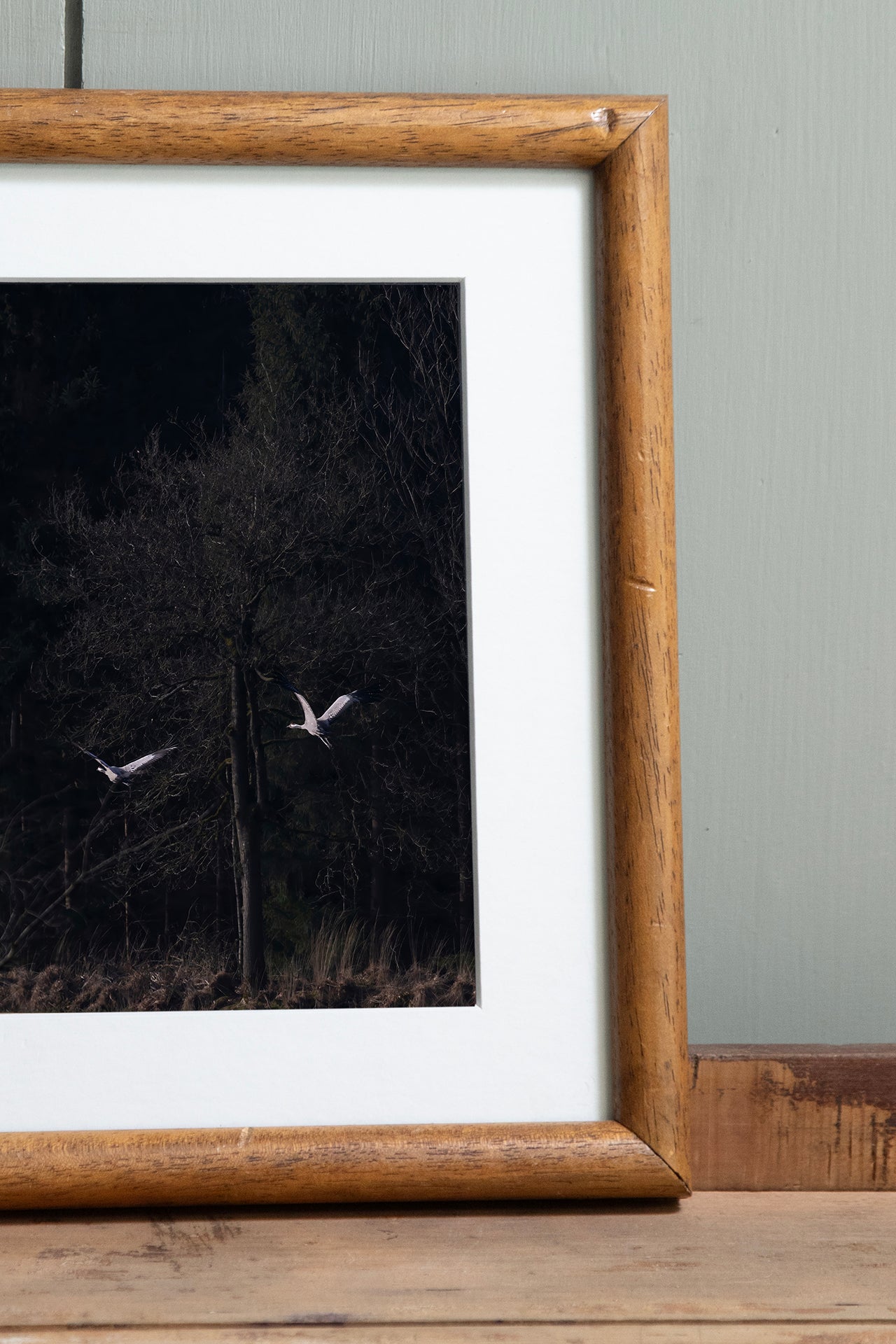 Cranes, ingelijst