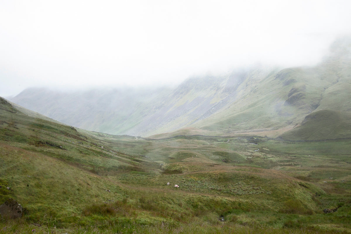 Wild Fell  | Art Print