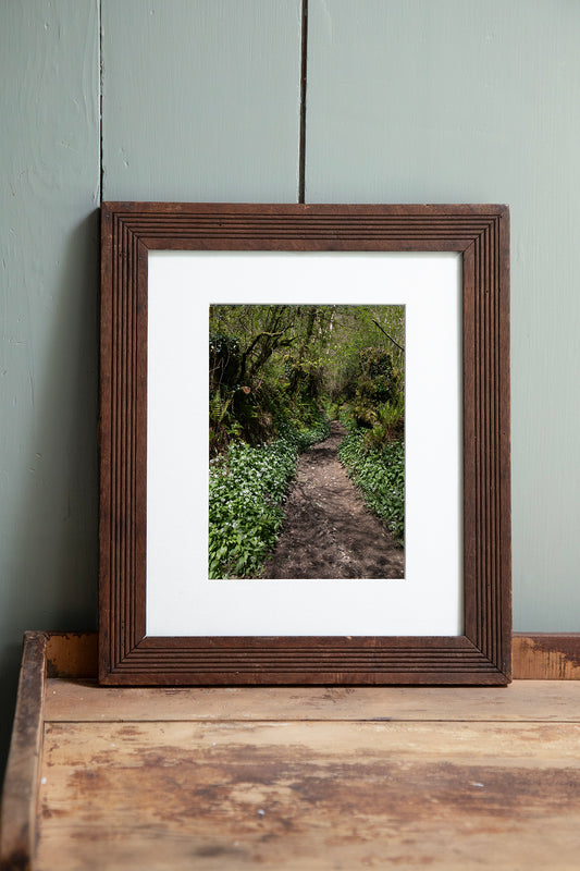 Wild Garlic, ingelijst