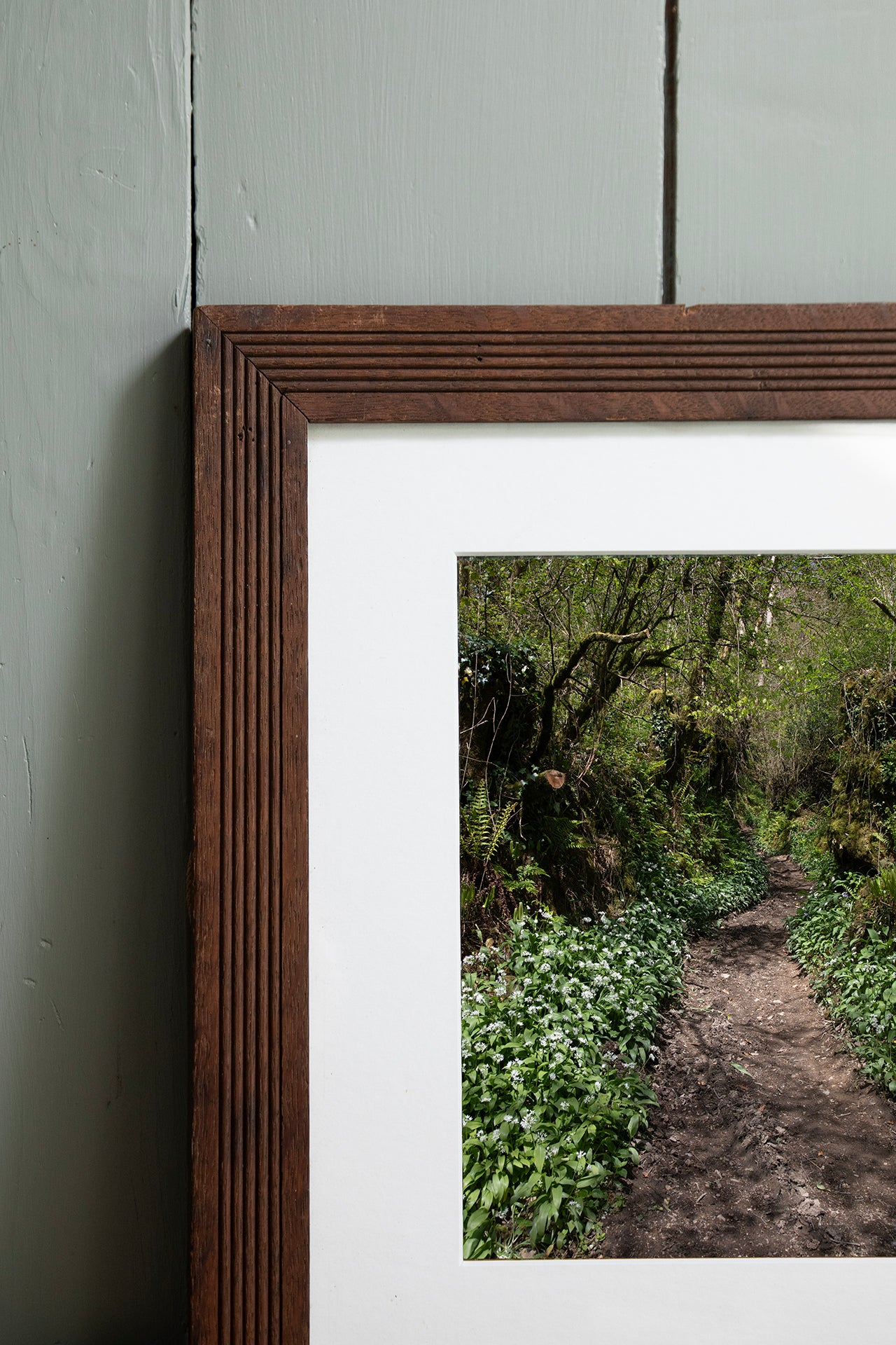 Wild Garlic, ingelijst